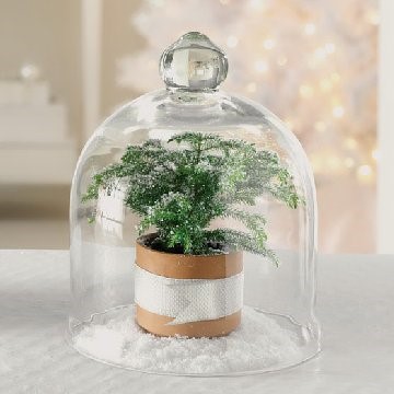 Holiday Centerpieces